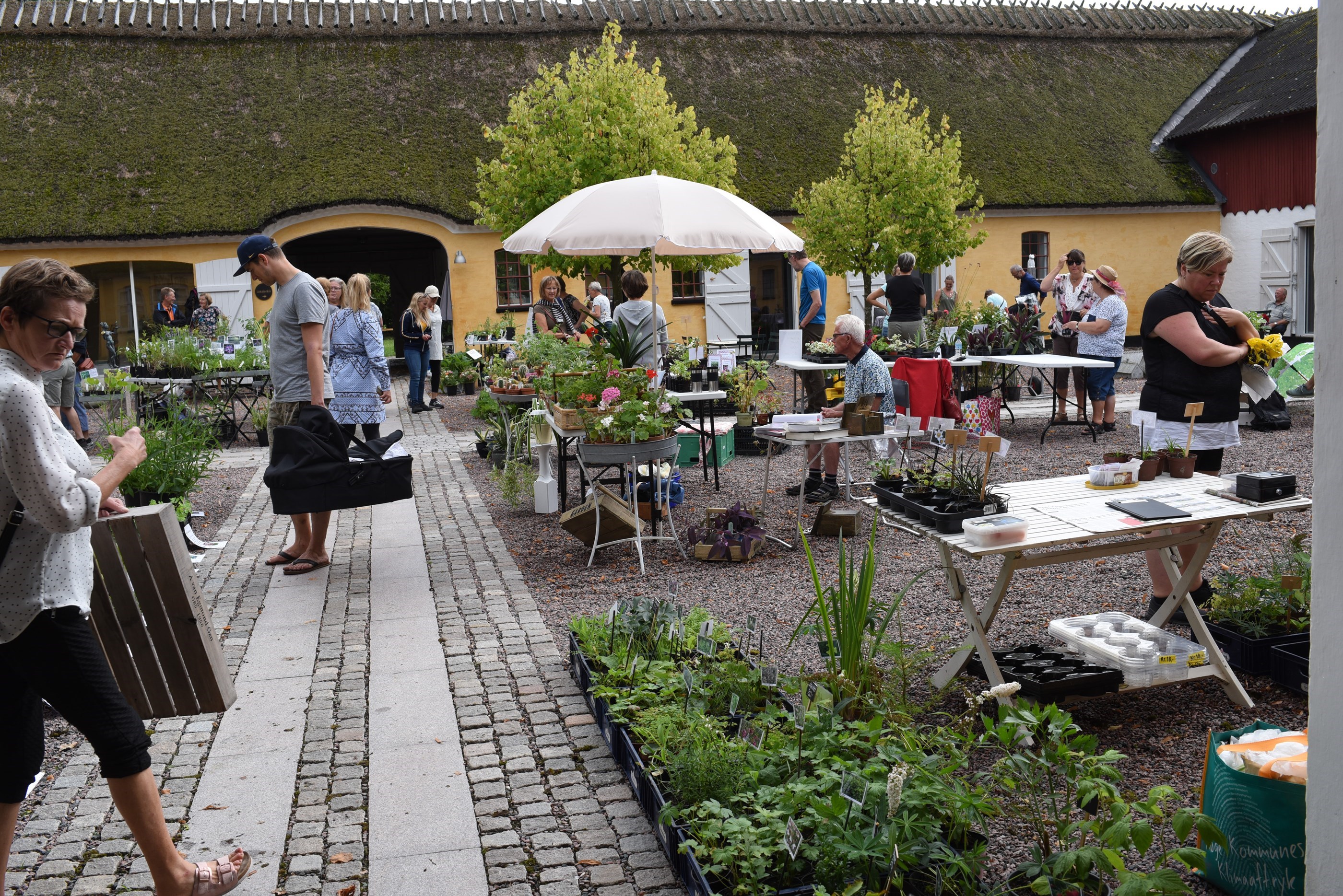 Plantemarked