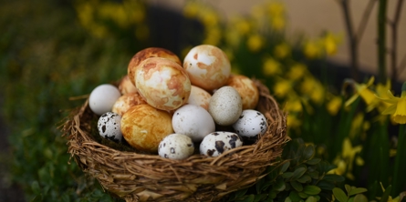 Farvede æg som i gamle dage blev brugt til pynt i påsken