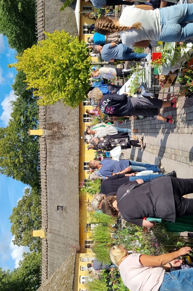 Plantemarked på Greve Museum